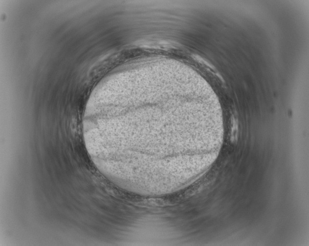 X0000086030966200704201942