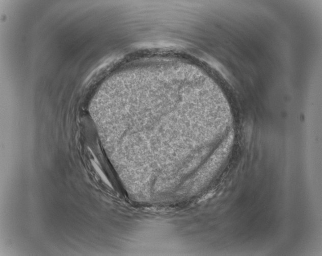 X0000086030967200704201942