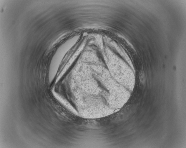 X0000086030968200704201942