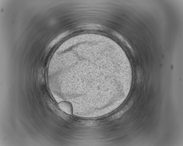 X0000086030970200704201942