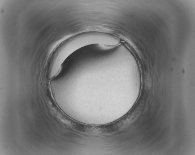 X0000086030971200704201942