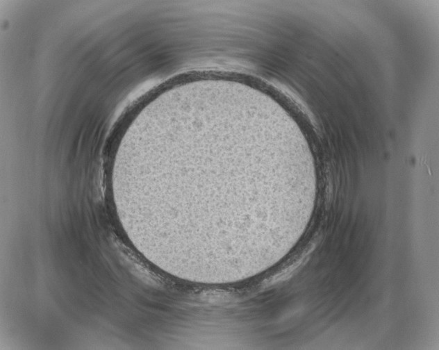 X0000086030974200704201942