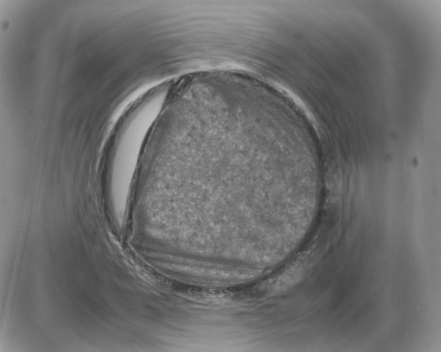 X0000086030975200704201942