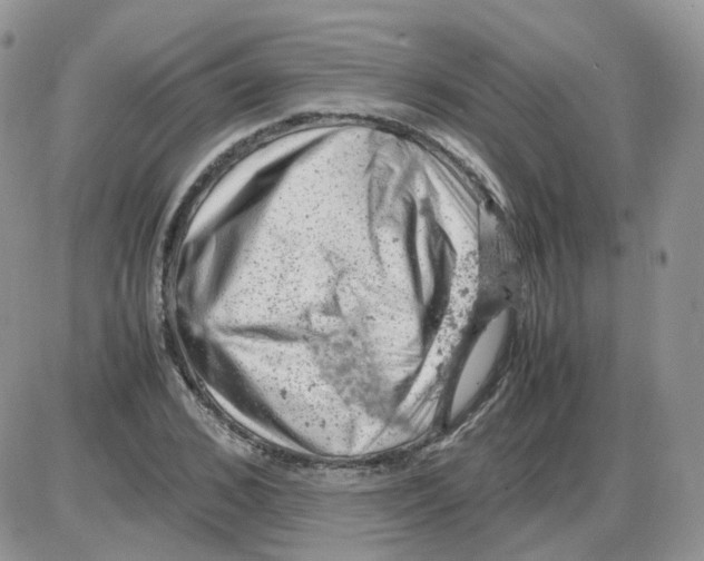 X0000086030976200704201942