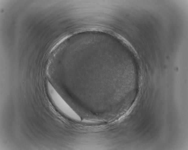 X0000086030977200704201942