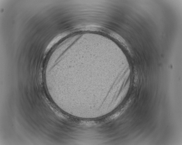 X0000086030978200704201942