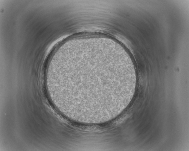 X0000086030979200704201942