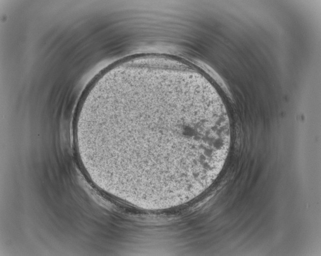 X0000086030980200704201942