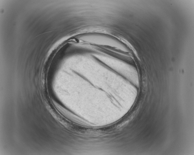 X0000086030981200704201942