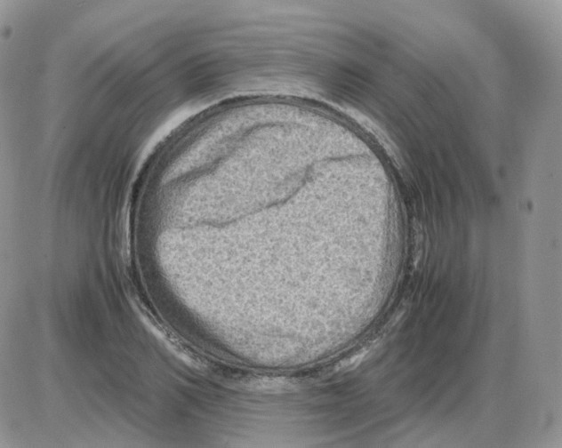 X0000086030982200704201942