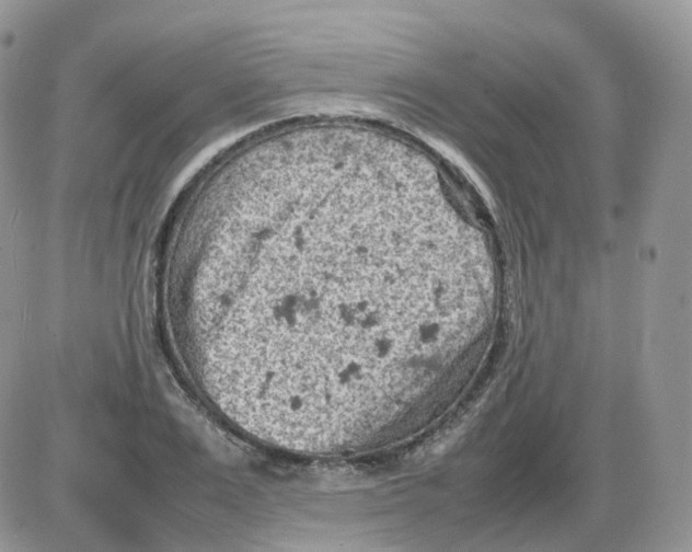 X0000086030983200704201942