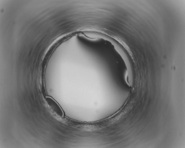 X0000086030984200704201942