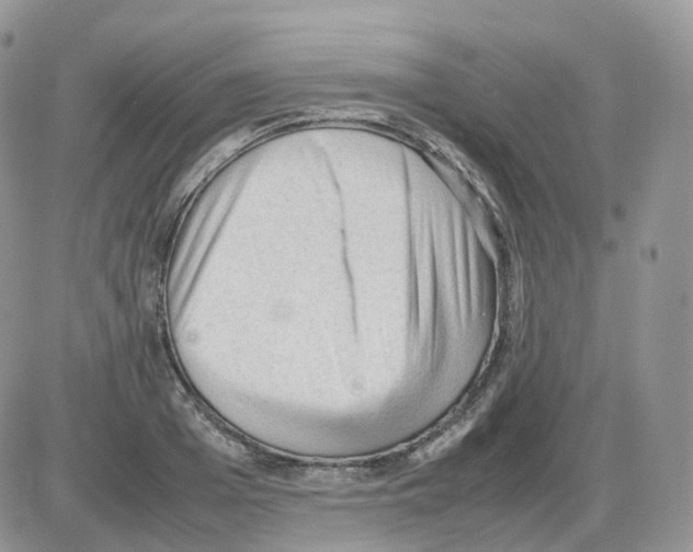 X0000086030985200704201942