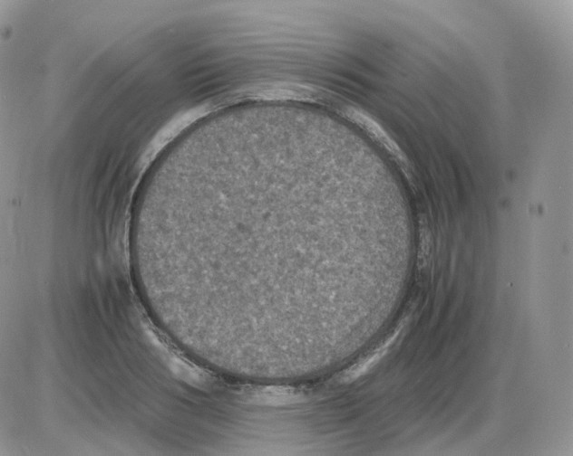 X0000086030986200704201942