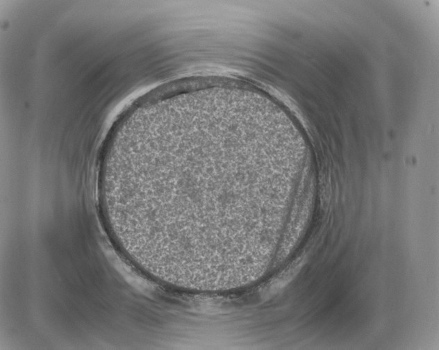 X0000086030987200704201942