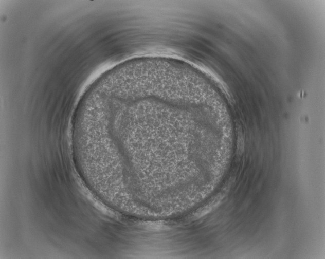 X0000086030990200704201942