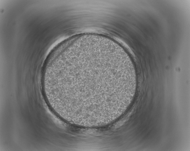 X0000086030991200704201942