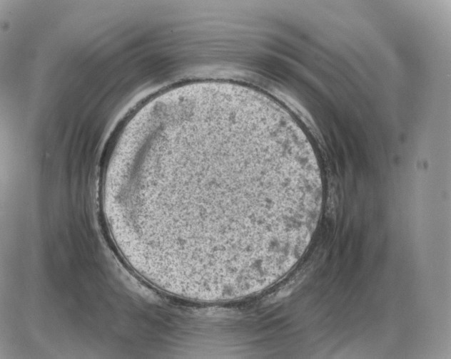 X0000086030992200704201942