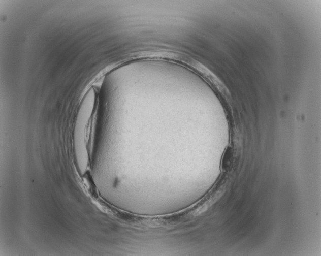 X0000086030993200704201942