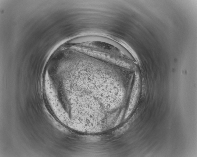 X0000086030996200704201941