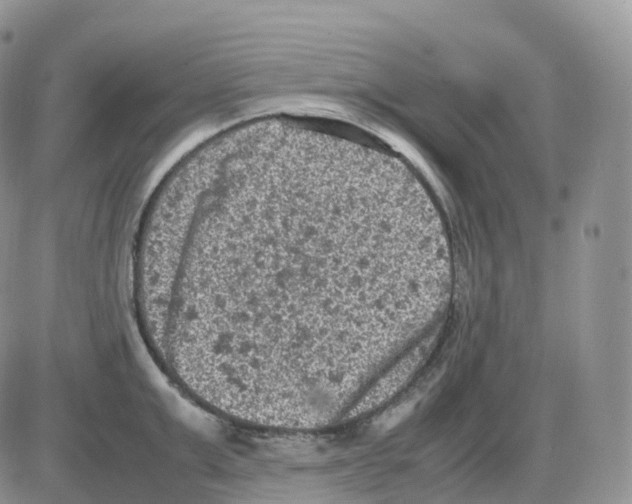 X0000086030999200704201941