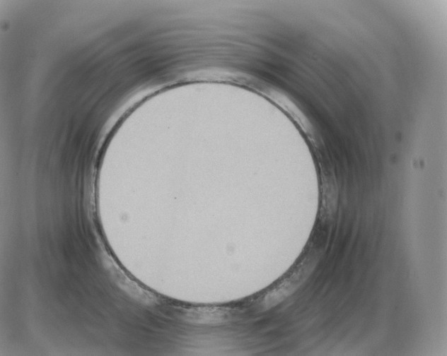 X0000086031000200704201941