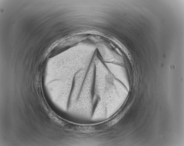 X0000086031001200704201941