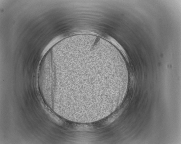 X0000086031002200704201941