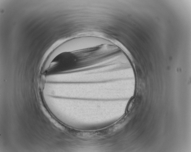 X0000086031005200704201941