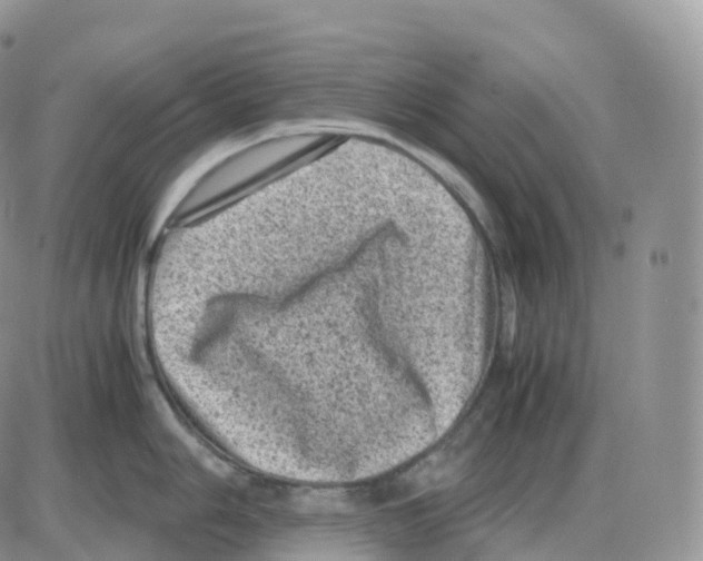 X0000086031006200704201941