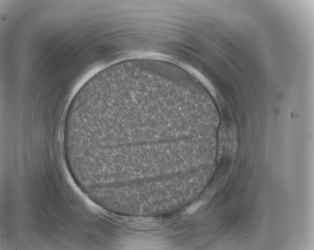 X0000086031007200704201941