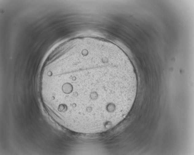 X0000086031008200704201941