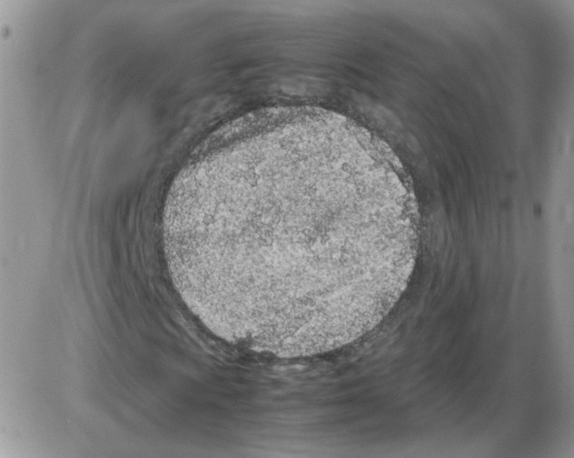 X0000086031009200704201941