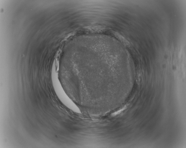 X0000086031010200704201941