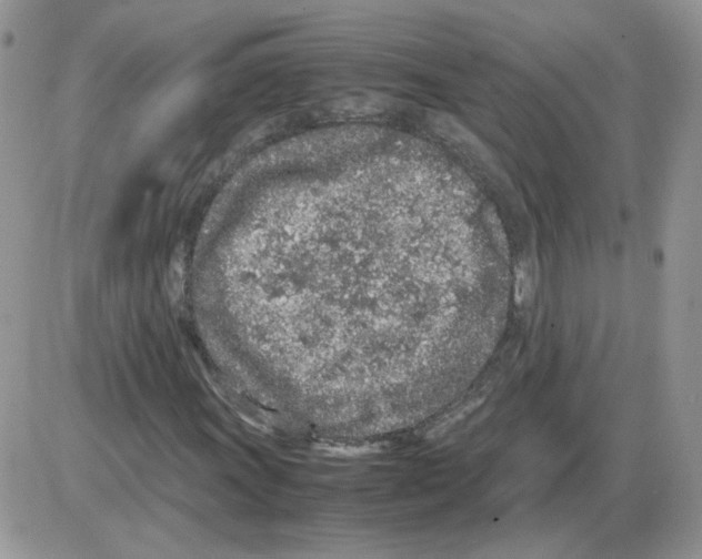 X0000086031011200704201941