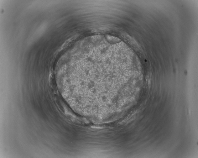 X0000086031012200704201941