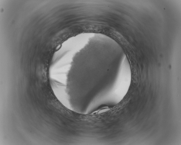 X0000086031013200704201941