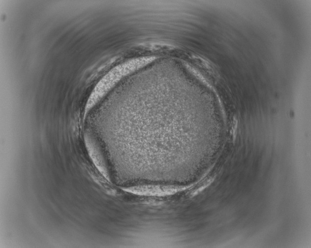 X0000086031014200704201941