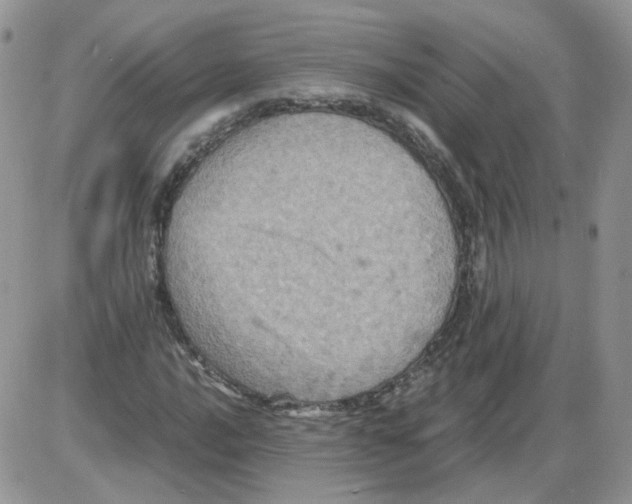 X0000086031016200704201941