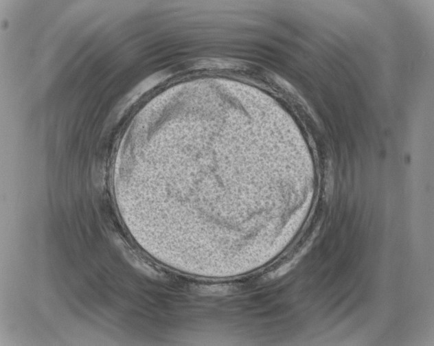 X0000086031017200704201941