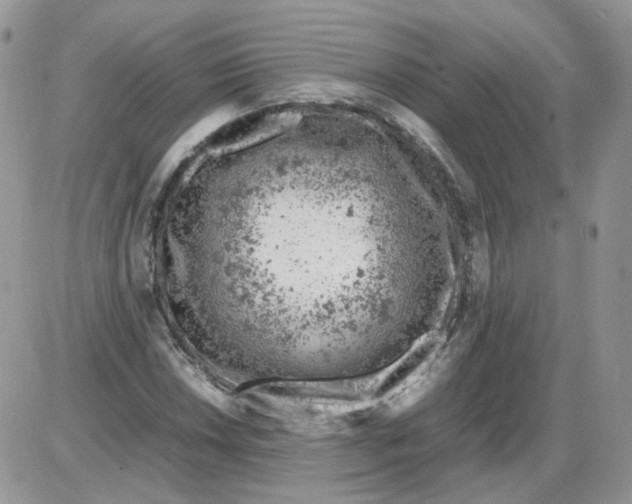 X0000086031018200704201941