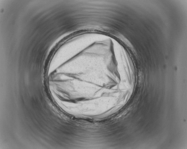 X0000086031020200704201941