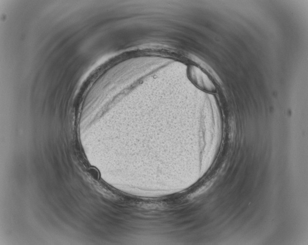 X0000086031021200704201941