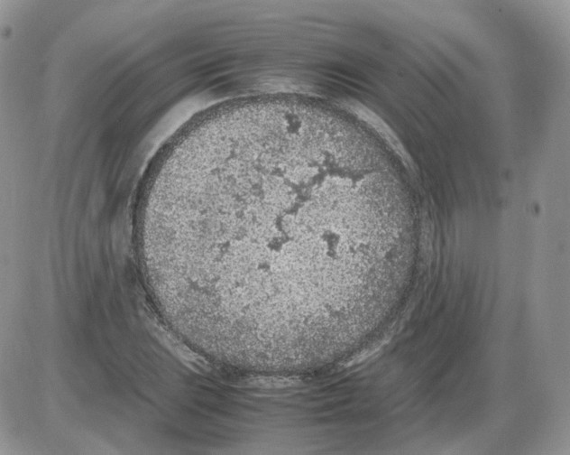 X0000086031023200704201941