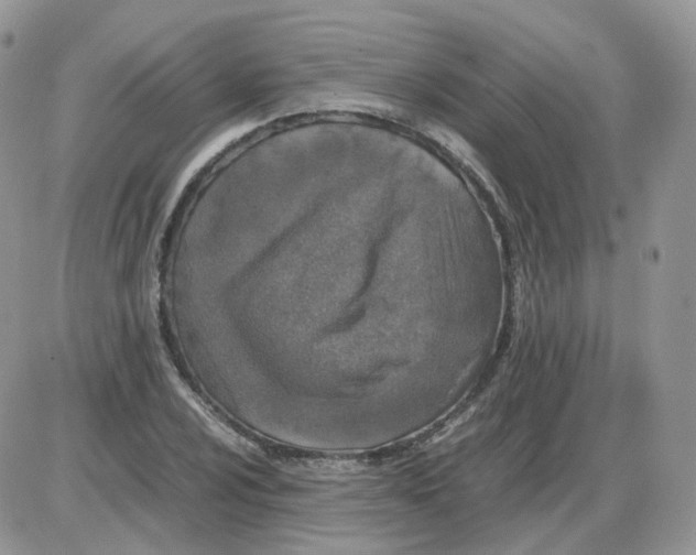 X0000086031024200704201941