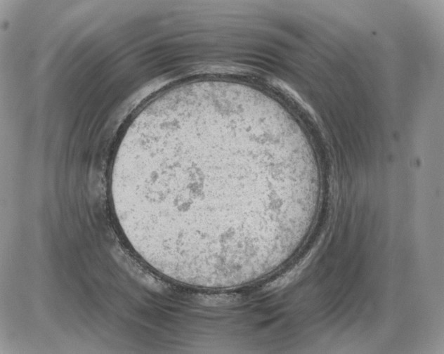 X0000086031025200704201941