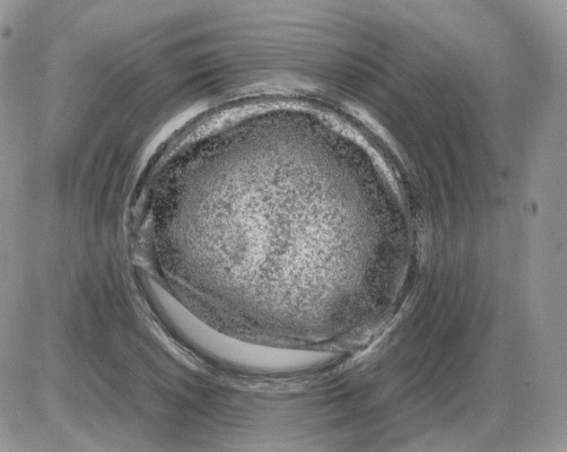 X0000086031026200704201941