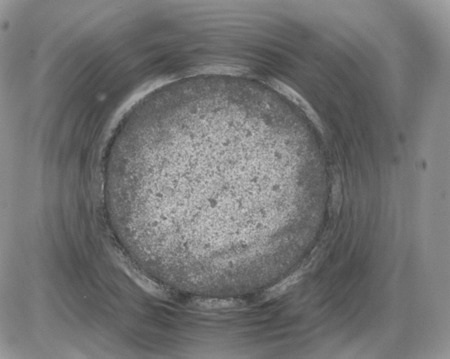 X0000086031027200704201941