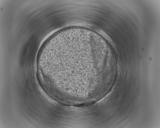 X0000086031028200704201941