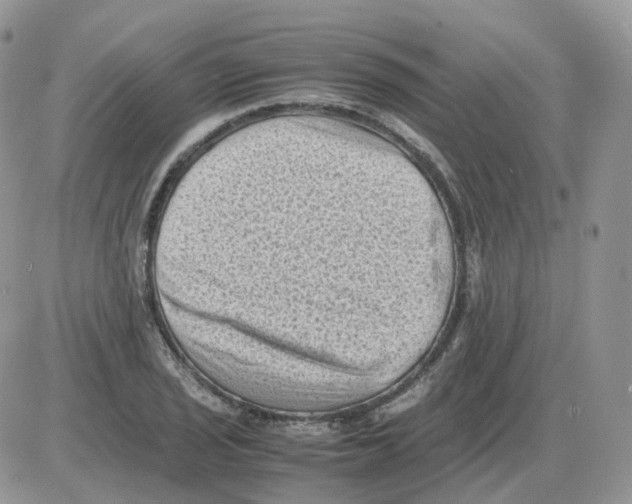 X0000086031029200704201941